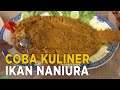 Kuliner Ikan Mas Naniura khas Medan yang mulai jarang | JELANG SIANG