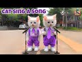 Three Little Kittens | Fun Rhymes & Dance Along Meow Meow 🎶🐾 | Halal Heroes #kittens #rhymes