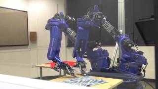 Robot Perception and Manipulation for Deformable Objects