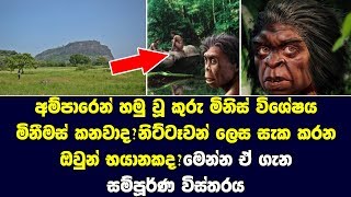 අම්පාරෙන් හමු වූ කුරු මිනිස් විශේෂය මිනීමස් කනවාද? - The nittawo of Cylon