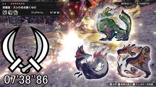 【MHRise】高難度:ヌシの名を戴くもの 双剣 ソロ 07'38\