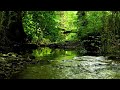 8 HOURS OF NIGHTINGALE BIRDSONG BY THE STREAM,  RELAXING NATURE SOUNDS FOR SLEEP, WHITE NOISE