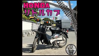 ★商品紹介★[3558] ホンダ リトルカブ 50cc -HONDA littleCub-