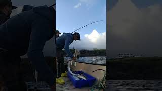 pesca da bicudas ilha terceira 💪