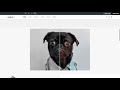 Before and After Slider Widget | Tutorial by Without Code