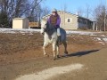 2 15 2011bohorses 061.mp4