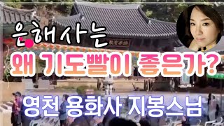 은해사가 기도처로 유명한 이유   특별법문-영천용화사 지봉스님 #진소윤의음악세상#지봉스님#은해사#찬불가#진소윤#은해사합창단