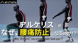 【立ち仕事　腰痛】「アルケリス」がなぜ、腰痛防止になるのか！？Why \