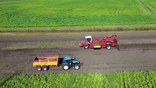 Grimme SF 170-60 aardappels rooien | potato harvest | Kartoffelernte midden Groningen