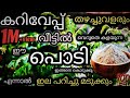 കറിവേപ്പ് തഴച്ചുവളരാൻ ഈ പൊടി മതി|Egg shell fertilizer|Curryleaves plant care in malayalam|curryveppu