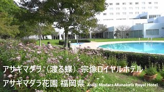 アサギマダラ（渡る蝶）宗像ロイヤルホテル  アサギマダラ花園　福岡県Asagimadara (Migratory Butterfly) Munakata Royal Hotel