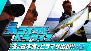 【村上的 ネコメタル パラダイス vol.2】冬の日本海 ヒラマサ出現！！の巻【ジギング】