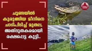 ചൂണ്ടയില്‍ കുരുങ്ങിയ മീനിനെ ചാടിപിടിച്ച് മുതല, അത്ഭുതകരമായി രക്ഷപ്പെട്ട കുട്ടി... | Viral Video