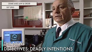 The New Detectives: Deadly Intentions