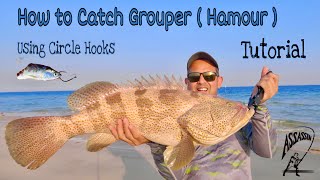 How to Catch Grouper (Hamour) - Fishing in Qatar