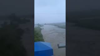 Hari ini Blitar Selatan menjerit diterjang banjir besar , sapi sapi hampir tenggelam @ElangHarsono