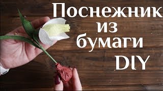 Подснежник из бумаги DIY МК Цветы из бумаги Букет из конфет Подснежники из гофробумаги 100ИДЕЙ