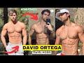 Maxican Travel Model - David Ortega| Physique Ideas