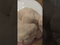 easiest way to grow lion s mane mushrooms