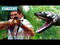 David Hasselhoff Battles A Monster Anaconda | Anaconda 3: Offspring | CineClips
