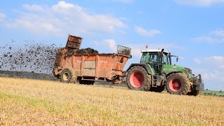 Fendt 820 \u0026 Dangreville - Epandage de fumier - Ruwet