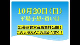 １０月２０日（日）平場予想・買い目・無料予想　G１菊花賞2024本命馬無料公開