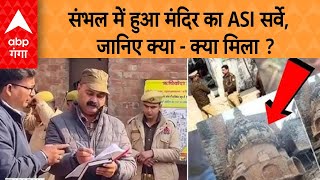 Sambhal News: संभल में हुआ मंदिर का ASI सर्वे, जानिए क्या - क्या मिला ?