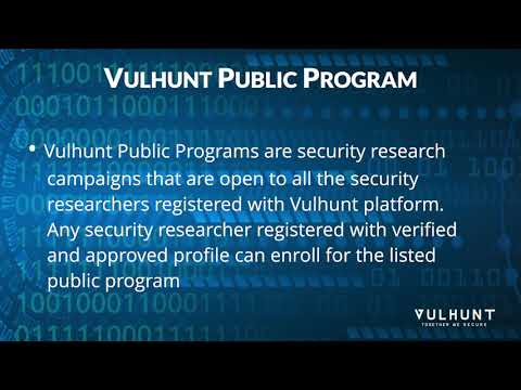 Vulhunt Public Program Youtube
