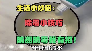 生活小妙招：除霉小技巧，防潮防霉我有招！