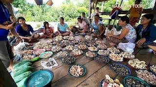 ตลาดขายเห็ดข้างทางเยอะมากๆเป็นตาสะออน ຕະຫລາດຂາຍເຫັດແຄມທາງ,ບ.ນາດີ,ເມືອງມະຫາໄຊ,ແຂວງຄຳມ່ວນ