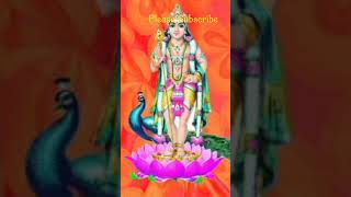 முருக உன் பாட்டு எல்லாம் இனிக்கிறது #murugansongs #murugan #முருகன் #muruga #om #omsaravanabhava