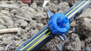 ड्रिप लाइन में ड्रिपर कैसे लगाए लाइव देखे || drip irrigation system #drip