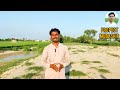 which crops can be grown after sesame تل کے بعد کونسی فصل کاشت کرے؟