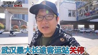 关门潮实为经济不好，但并不是坏事！武汉最大长途客运站明天关停？【罗宾VLOG】