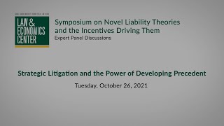 Strategic Litigation and the Power of Developing Precedent