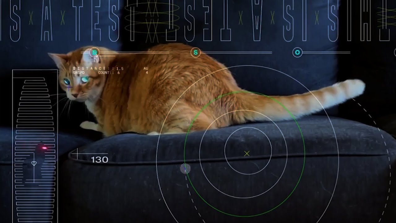 Pew Pew! NASA Beams Cat Video 19 Million Miles Through Space Using A ...