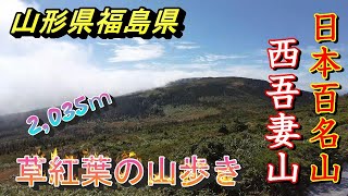 日本百名山　西吾妻山　草紅葉の山登り　【山形県・福島県2021 09 28西吾妻山】