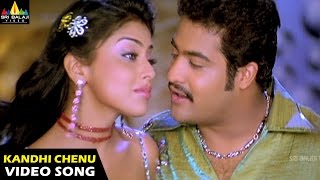 Naa Alludu Songs | Kandhi Chenu Kada Video Song | Jr.NTR, Shriya | Sri Balaji Video