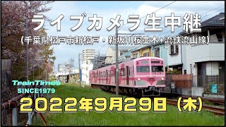 【ライブカメラ】生中継／千葉県松戸市新坂川桜並木／2022年9月29日【桜並木・流鉄流山線リアルタイム配信】