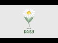 Daisy by Pixiecloud 🤍 Royalty Free Background Music Chill Ambient Bgm