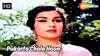 Pukarta Chala Hoon | पुकारता चला हूं मैं | Mere Sanam | Asha Parekh, Biswajit | Mohd Rafi Hit Songs