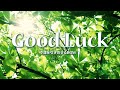 【朝の音楽】11月11日🌟Good Luck🤞幸運を引き寄せる22のラッキーアイテムと爽やかアコースティック🍀