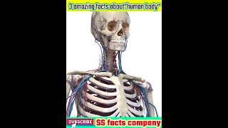 three amazing facts about human body #shorts #viral #trending #ytshorts
