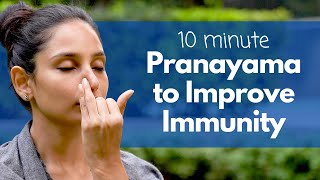 10 Minute Pranayama to Increase Immunity | इम्यूनिटी बढ़ाने के लिए प्राणायाम @satvicyoga