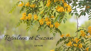 Rosaleen et Suzan - Le vlog -