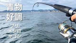 【青物】安心と信頼の激投ジグストライクピンクグロー【ショアジギング】