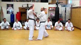 Kyokushin-Kan Karate training
