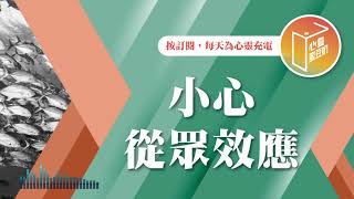 最害怕跟別人不一樣？【#心靈蜜豆奶】小心從眾效應/劉群茂_20241203