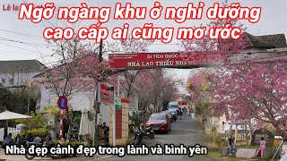 Ngỡ ngàng cảnh sống nghỉ dưỡng cao cấp yên tĩnh ai cũng mơ ước. Lê la Đà Lạt