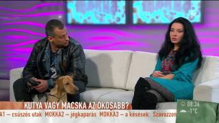 Gregor Bernadett anyaként bánik a macskáival - tv2.hu/mokka